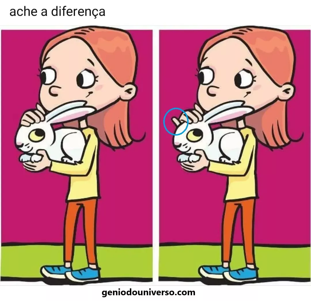 Veja aqui a resposta do jogo Ache a Diferença: A Menina e o Coelhinho