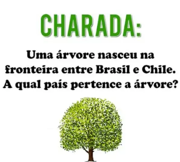 Enigma do Território: Qual país é o dono?