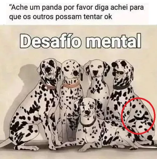 Veja a Resposta do Desafio Mental: Ache o Panda