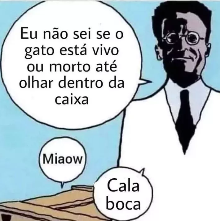 O Gato de Schrödinger: Entre Teorias, Confusões e Memes