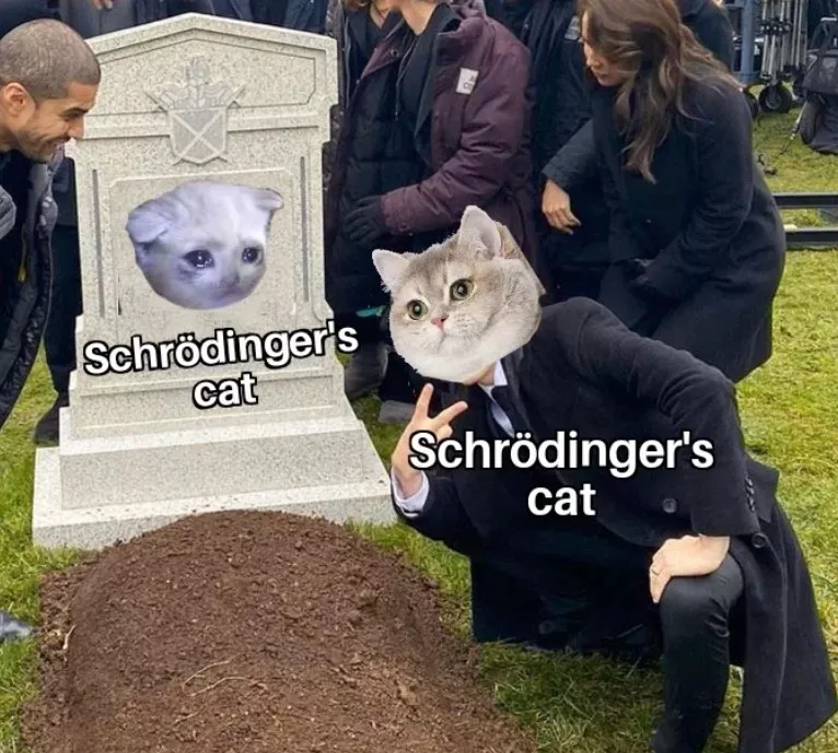 O Gato de Schrödinger: Entre Teorias, Confusões e Memes