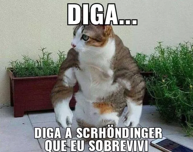 O Gato de Schrödinger: Entre Teorias, Confusões e Memes