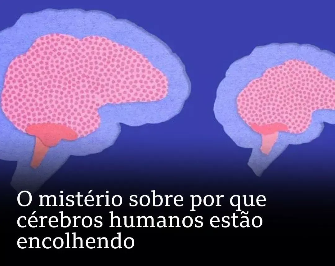 O Mistério dos Cérebros Humanos Encolhendo: O Que Isso Significa para Nós?