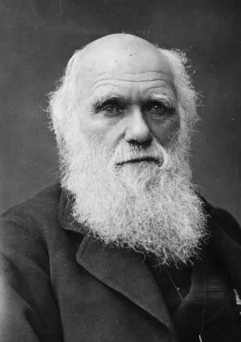 Charles Darwin: O naturalista que mudou a forma como vemos a vida