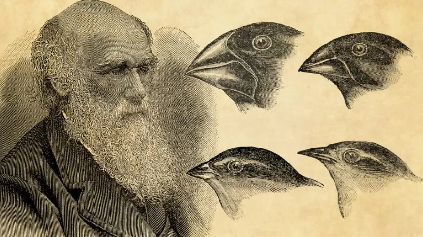 Charles Darwin: O naturalista que mudou a forma como vemos a vida