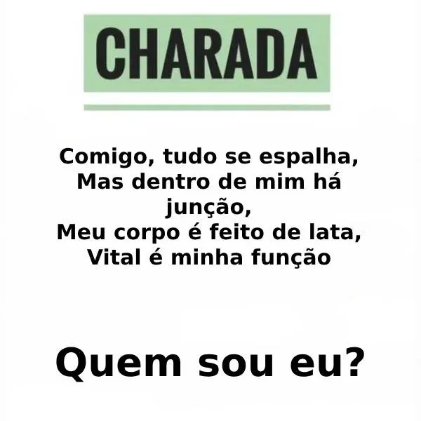 Charada: Corpo De Lata