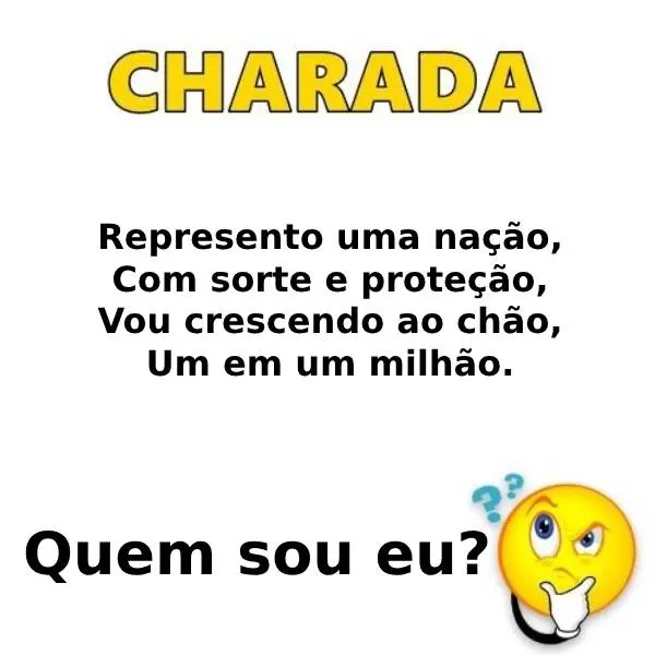 Charada: Um Em Um Milhão